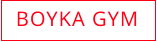 BOYKA GYM