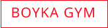 BOYKA GYM
